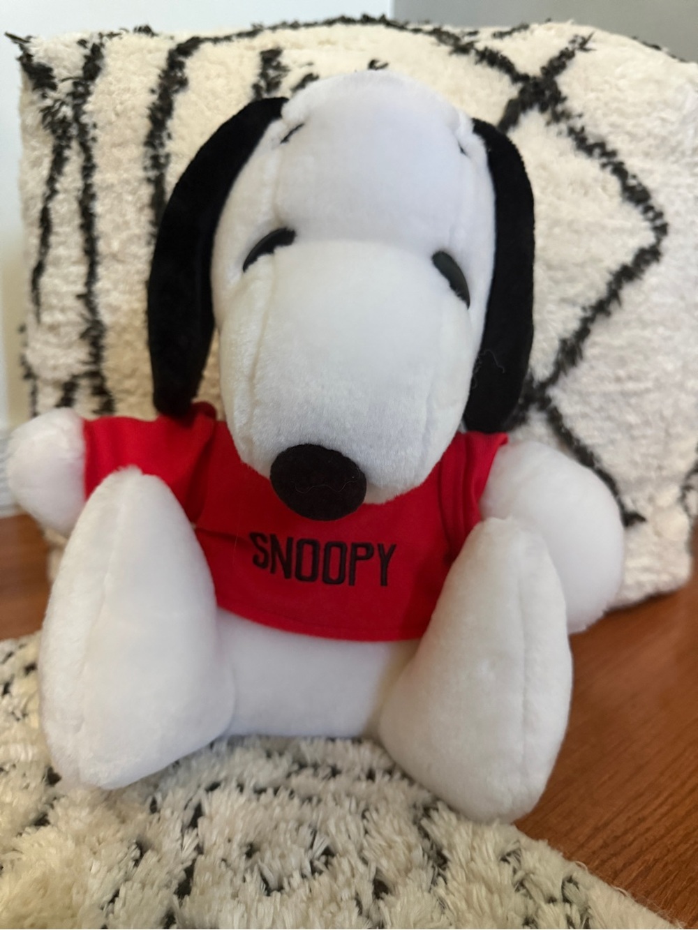 Vintage Snoopy Plush Stuffed Animal Red Shirt Irwin Toys Peanuts Collectible